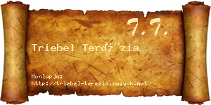 Triebel Terézia névjegykártya